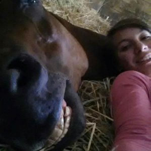 Anche i cavalli amano i selfie