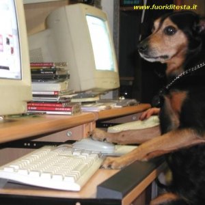 Cane informatico