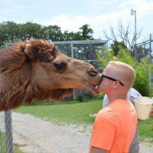 Che bel bacio appassionato!