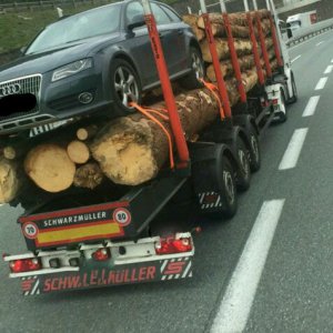 Mentre c'era ha trasportato tutto