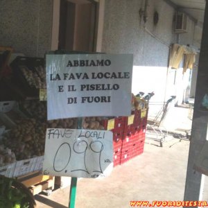 Fava locale