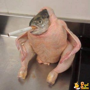 Il famoso pesce pollo fumatore