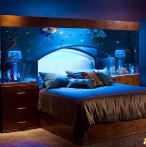 Il letto sotto l'acquario