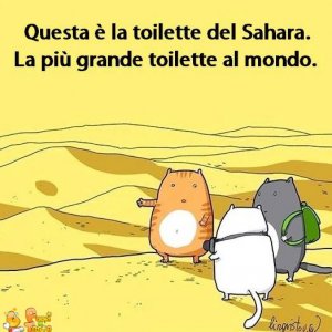 La toilette del Sahara