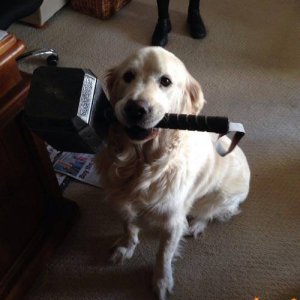 Labrathor