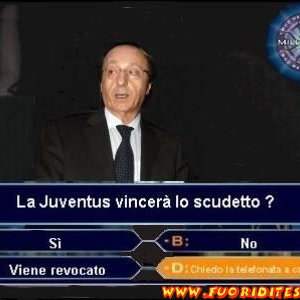 Moggi e i quiz