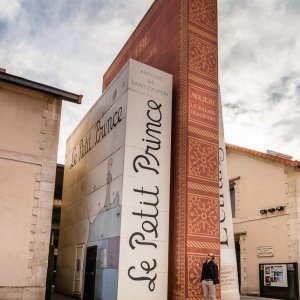 Palazzi a forma di libro