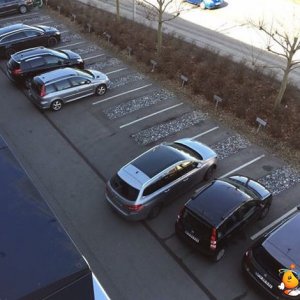 Parcheggiare è un'arte