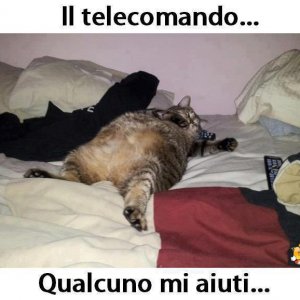 Passa il telecomando