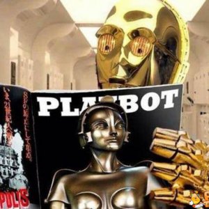 Playbot