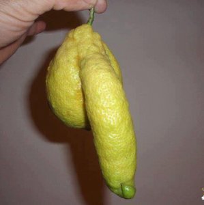 Strano limone
