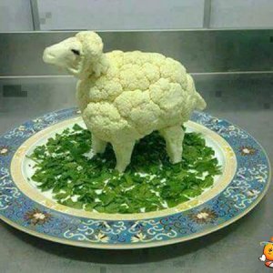 Una pecora-broccolo