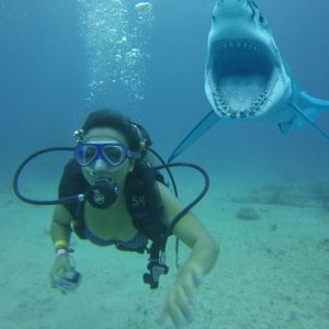 Una tranquilla nuotata in mare