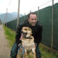 gaetano.lippa