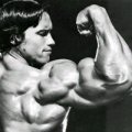 Tommy Barchiesi