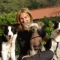 dogsitter