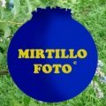 Mirtillo Foto