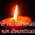Lupa Solitaria