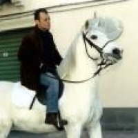 salvatore.platania