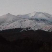 Aly Turcu