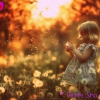 Petit Sha