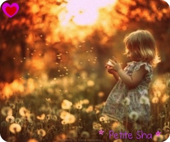 Petit Sha
