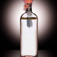 Wino