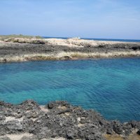 blucobaltina
