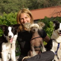 dogsitter