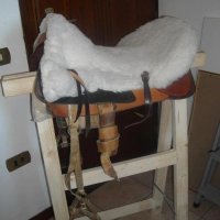 Rg Horses