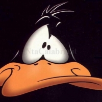 pprai