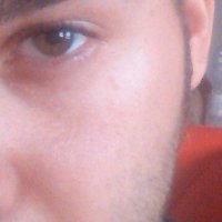 Antimo Carlea