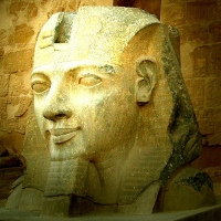 dajide
