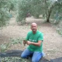 rino.origlia.geraci