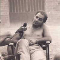 Mario Teofilo