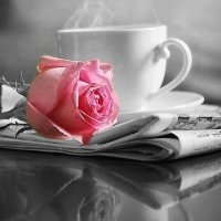 Amy_love