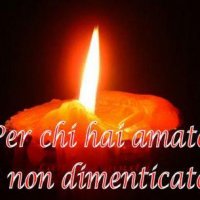 Lupa Solitaria