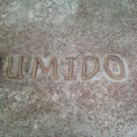 umido