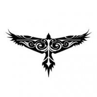 Hawk1785