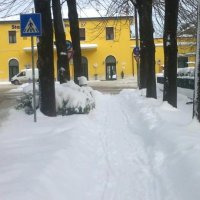 Guximtar Hyka