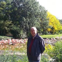 Carlo Scacchi