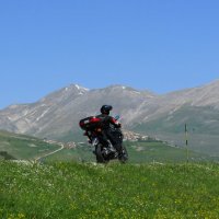 Lupo Alberto